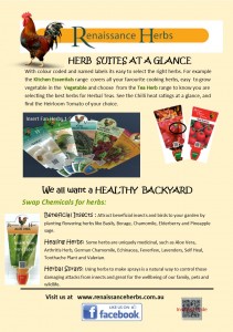 Herb Hints2